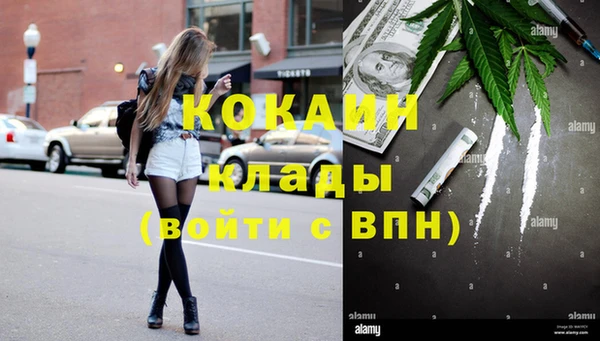 гашик Богородицк