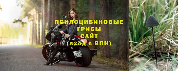 гашик Богородицк