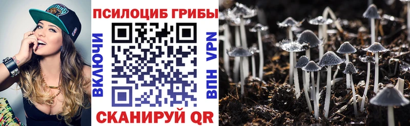 где можно купить наркотик  даркнет как зайти  Галлюциногенные грибы GOLDEN TEACHER  Светогорск 